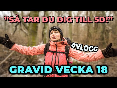 RESAN GENOM LANDET! - GRAVID VECKA 18 | VLOGG