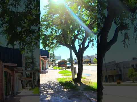 Así se siente caminar un domingo acá 👀