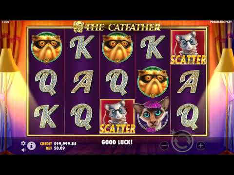 The Catfather – Video Gameplay