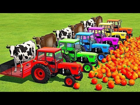 LOAD SHEEPS, RAMS, HORSES, BULLS, COWS, GOATS & TRANSPORT WITH MINI PORSCHE TRACTORS - FS25