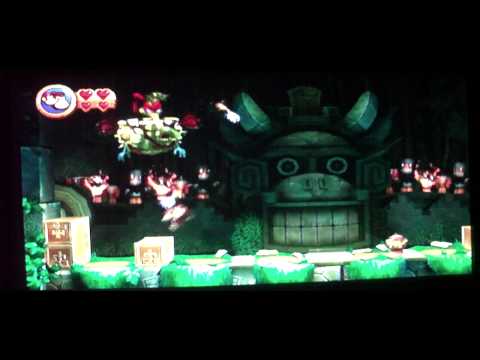Donkey Kong Country Returns: 3-B Ruined Roost