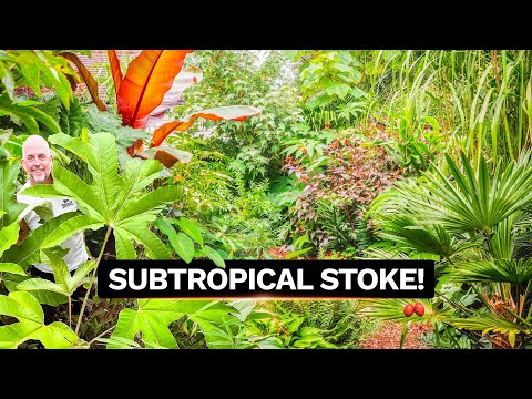 Shane Bilson's Rare Plant Paradise - UK Jungle Garden Transformation Tour