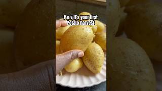 Download lagu So excited to harvest these #itsmaureenmw #food #gardening en mp3