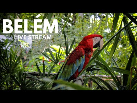 Belém Overview thumbnail