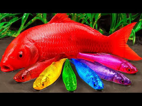 Stop Motion Experiment ASMR | Hunting Little Fish Stealing Treasures Original Underground Experiment