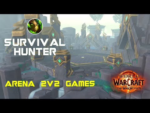 Survival Hunter | 2v2 games [Priest/Lock | Mage/Rogue | Disc/Mage]