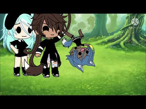 Começou a dar certoooo 🤩