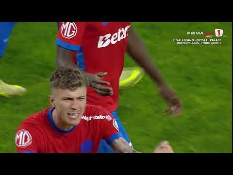 bg-highlight