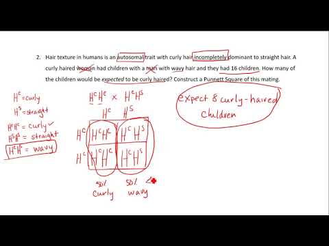 Solving Genetics Problems Tutorial