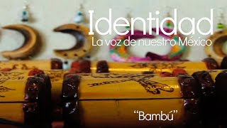 preview picture of video 'Bambú de Veracruz'