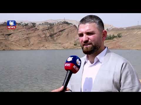 بەڤیدیۆ.. ١٢٤ ھەزار پەنجە ماسی لەجۆری کارب خرانە بەنداوی دێوانەوە