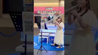 Download lagu 千本桜／黒うさP Feat.初音ミク🎺#トランペット#吹奏楽 #千本桜 #初音ミク #ボカロ #黒うさp #ストリートライブ #路上ライブ #trumpet #ボーカロイド #演奏してみた #演奏 mp3