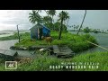 Refreshing Walk In Heavy Rain On The Backwaters Of Kerala ASMR Rain Sounds For Deep Relaxing Sleep