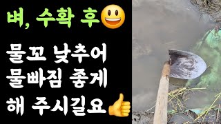 벼, 수확 후???? 물꼬 낮추어 물빠짐 좋게 해 주시길요???? 
