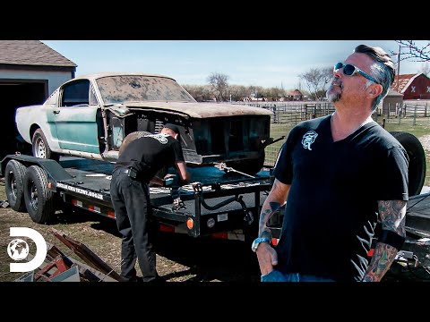 Richard resgata um Mustang 1966 de uma garagem velha | Dupla do Barulho | Discovery Brasil