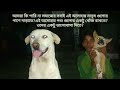 একটা ভালোবাসার গল্প ️EKTA VALOBASAR GOLPO