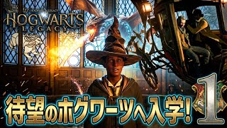 【シリーズ】今度は魔法の世界で大冒険！果たして彼の杖を持たせていいのだろうか？ホグワーツ・レガシー　パート１