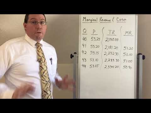 Marginal Revenue & Marginal Cost - Professor Ryan