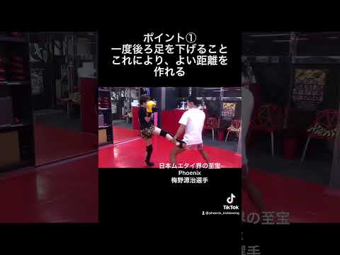 【ローキックへのカウンター】キャッチしてからのカウンター