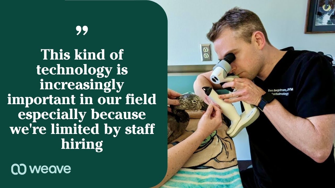 How AI Helps Veterinary Teams Reduce Burnout and Improve Client Experience - The Eye Vets | Weave