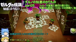 【ゼルダの伝説 知恵のかりもの】 チルノの知恵のかりもの part25 フィローネ湿原に現れた裂け目3 牢屋から脱出～フィローネの神殿へ 他【ゆっくり実況】