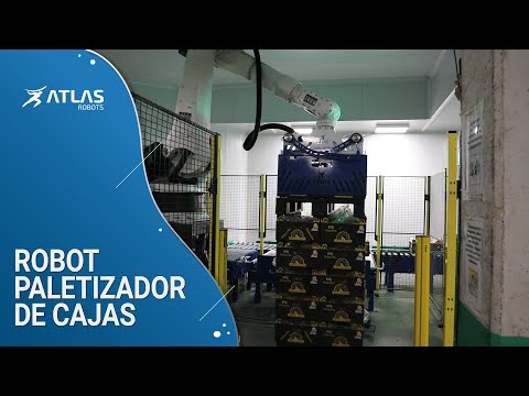 Vídeo del robot paletizador de cajas de Atlas Robots funcionando en la planta de un cliente