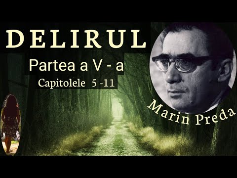 DELIRUL de Marin Preda- audiobook in romana