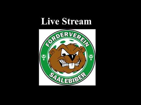 Punktspiel USV Halle Saalebiber - Unihockey Igels Dresden