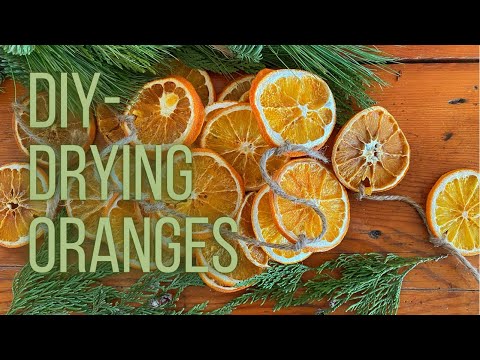 YouTube video about How to Get Perfectly Dried Oranges in No Time!