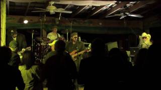 Leon Russell- Wild Horses/A Hard Rain Is Gonna Fall