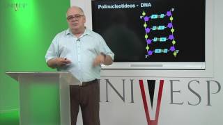 Bioquímica - Aula 09 - Ácidos Nucleicos