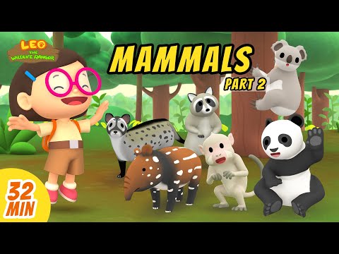 Mammals Minisode Compilation (Part 2/5) - Leo the Wildlife Ranger | Animation | For Kids