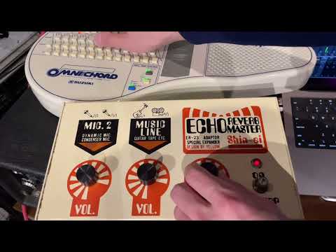 Shin-ei ER-23 Echo Reverb Master Spring Serviced image 13