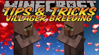 Minecraft Tips and Tricks - Easy houses for villager breeding - How to choose good villager part 1