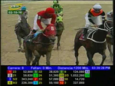 Resumen Domingo, 02 de Octubre de 2016 - La Rinconada