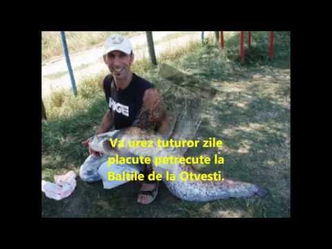Baltile Otvesti, Timis, pentru pescarii cu pretentii!