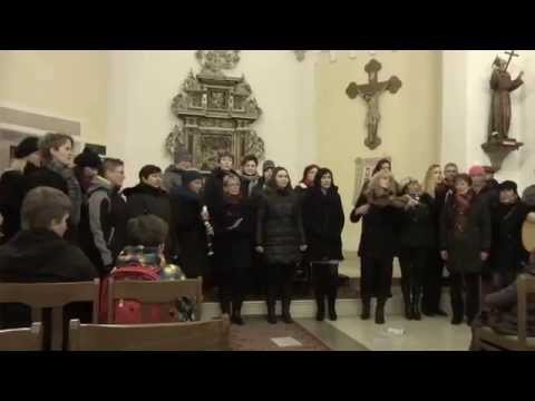 SAH - Rozsvěcení vánočního stromu v Podmoklech