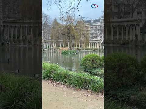  ' . get_the_title() . ' 