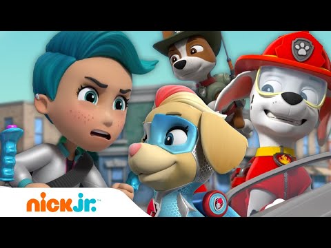 PAW Patrol Are All Paws on Deck to Rescue Adventure Bay! w/ Marshall, Mighty Twins & MORE | Nick Jr.