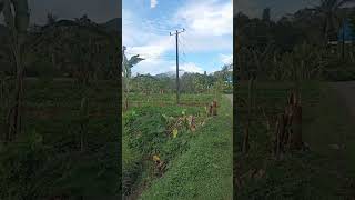 Download lagu sapu jagat ::loba nugelo ku harta#lagusunda mp3 Download lagu sapu jagat ::loba nugelo ku harta#lagusunda mp3