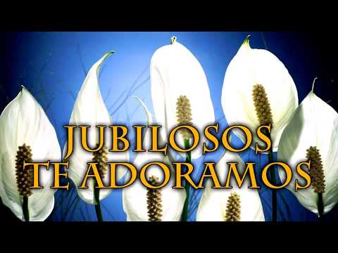 AS 15 MELHORES HINÁRIO ADVENTISTA