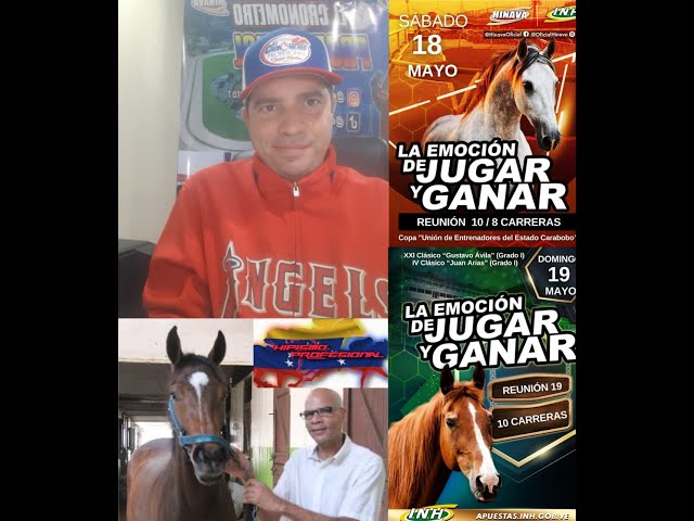 HIPISMO PROFESIONAL DOMINGO 19/05/2024