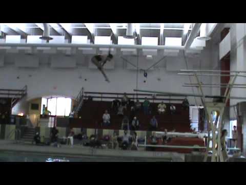Rachel Williams 1M and 3M Dives