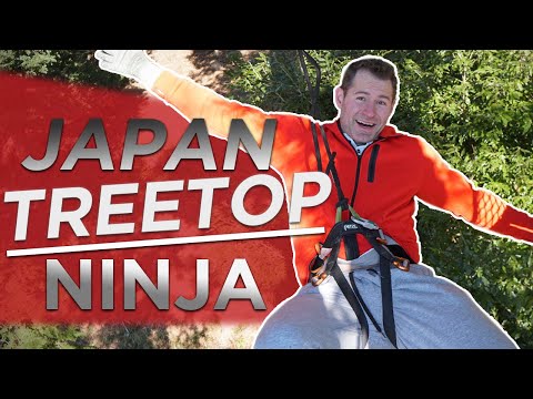 在日本哪裡可以成為樹梢忍者? (Where To Become A Treetop Ninja In Japan)