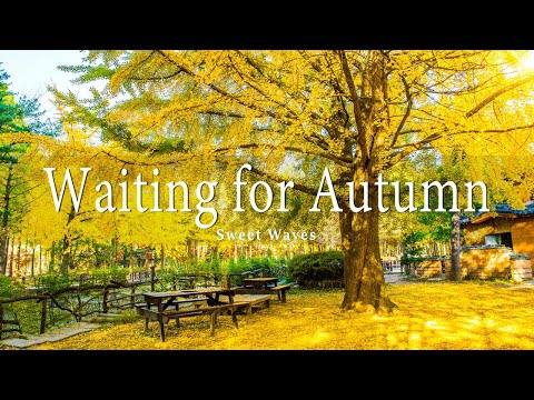 11 HRS Incredible Fall Foliage - Best 4K Autumn Nature Scenes from Around the World + Calming Music