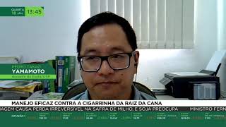 Miniatura do vídeo