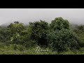 Theni Travel Whatsapp Status