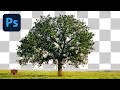 How To Remove A Difficult Background In Photoshop Tutorial