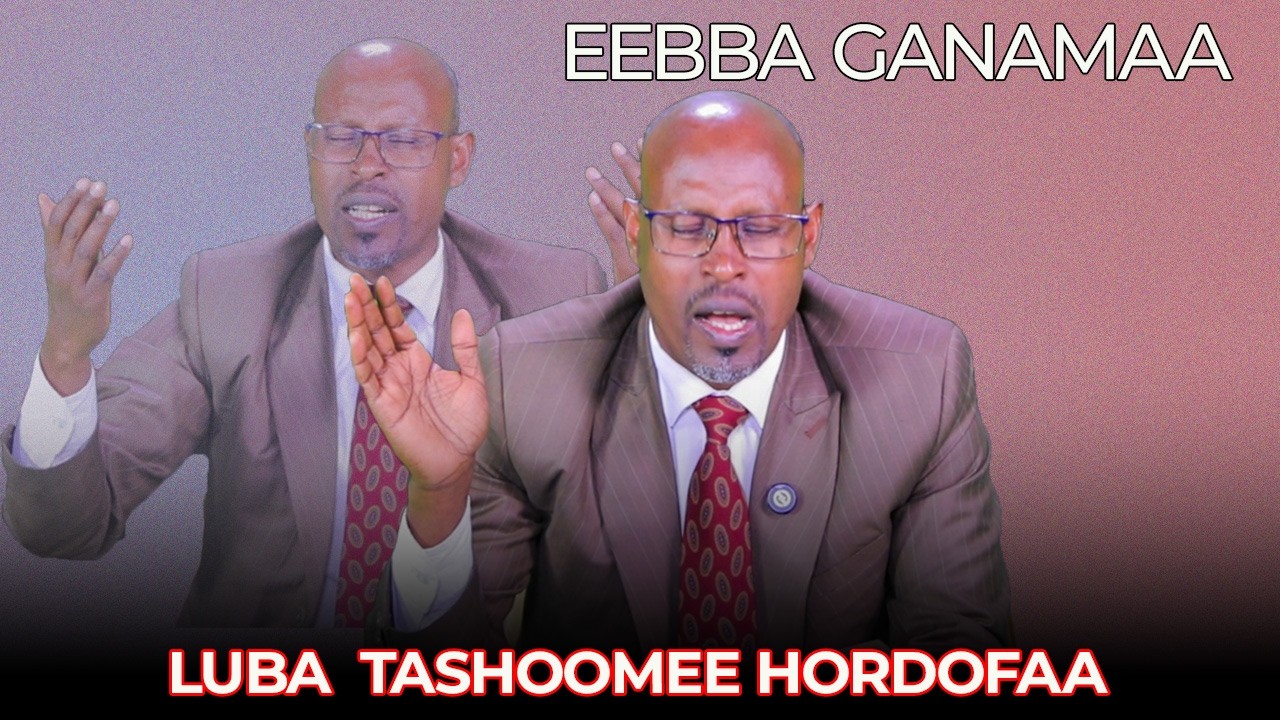 Eebba Ganamaa Luba Tashoomee Hordofaa Waliin/  806