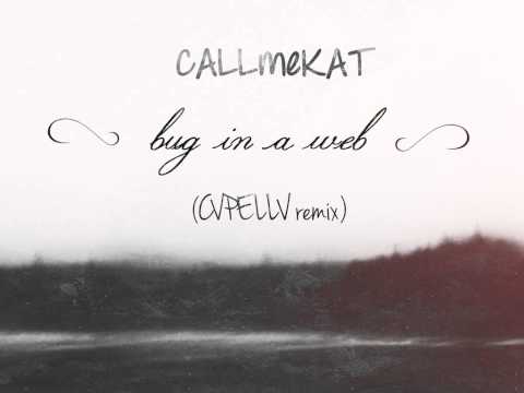 CALLmeCAT || bug in a web (CVPELLV remix)